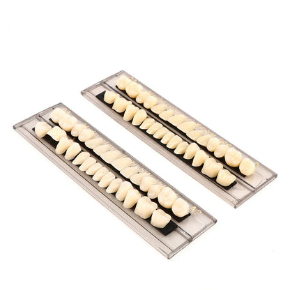 28-Teeth Resin Denture Comparator – Dental Mirror & Bleaching Plate for Dentistry Education & Research