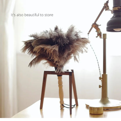 Ostrich Feather Dusting Brush – Wooden Handle Anti-Static Household & Car Cleaning Duster Tool