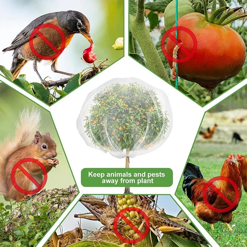 Large Fruit Tree Netting with Zipper & Drawstring – Transparent Insect & Bird Barrier Mesh for Garden Plants