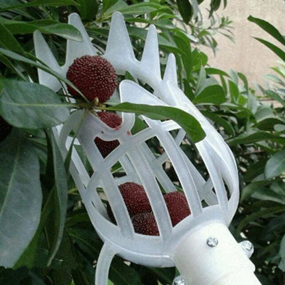Multi-Color Garden Hand Fruit Picker | Plastic Picking Tool for Bayberry & Jujube Harvesting | Agrarische Fruit Catcher