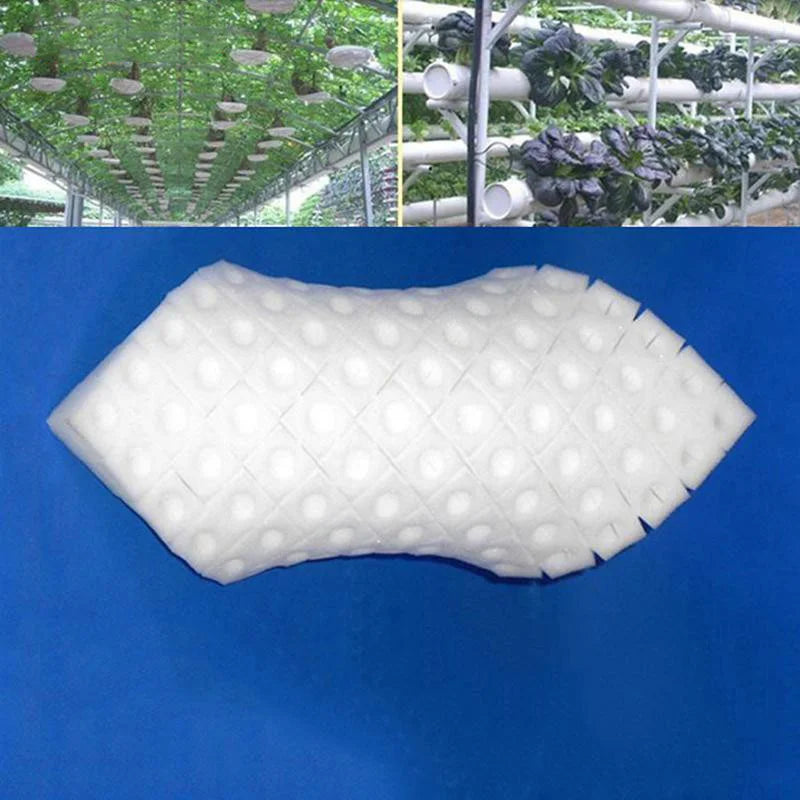 100Pcs Hydroponic Plant Sponge Sheets - Garden Cultivation, Seedling Soilless Culture, Planting Tools, Vegetables Nursery Pots and Trays