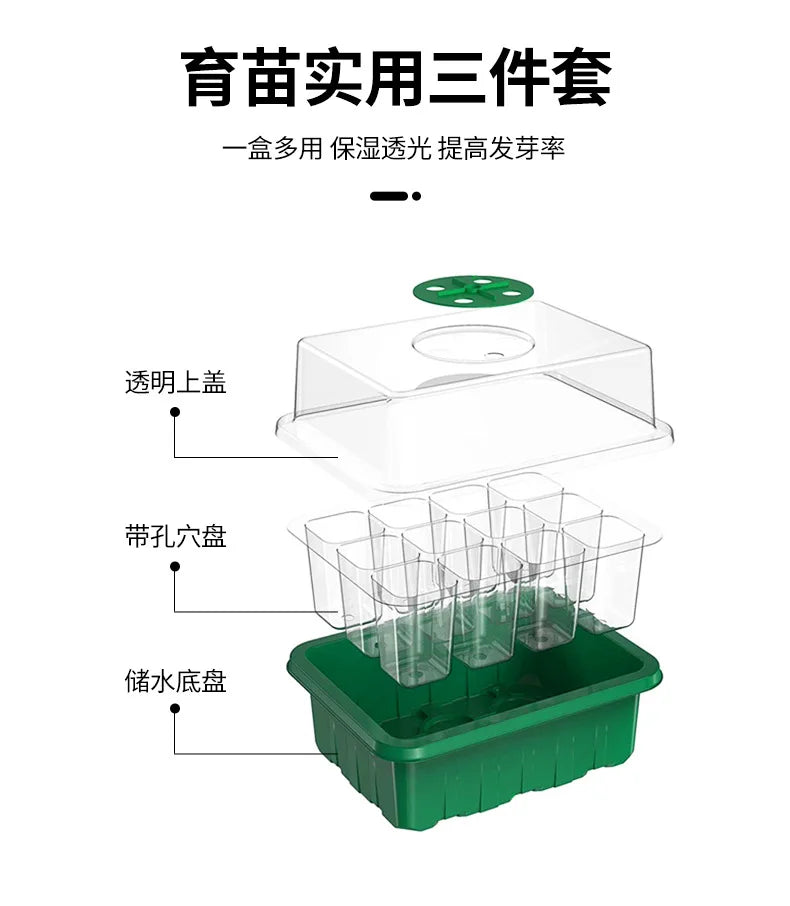 12-Well Plastic Seedling Tray | Insulated Pot for Succulent & Seed Sowing