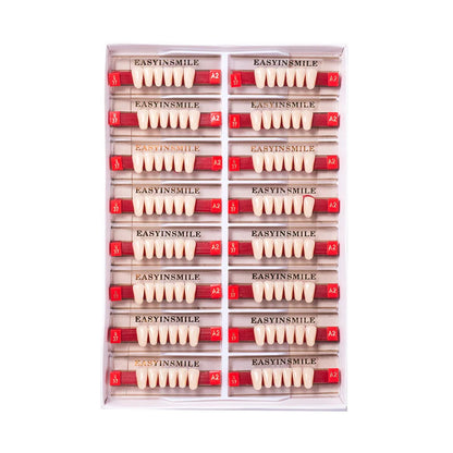 16/12 Set Dental Denture Teeth Model Kit, Upper & Lower Anterior Synthetic Polymer Teeth A2 A3 for Dental Education & Training