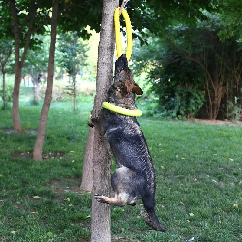 Dog Toy Training Ring Puller and Flying Disk – Interactive Chewing Toys for Puppies | Outdoor Game Supplies