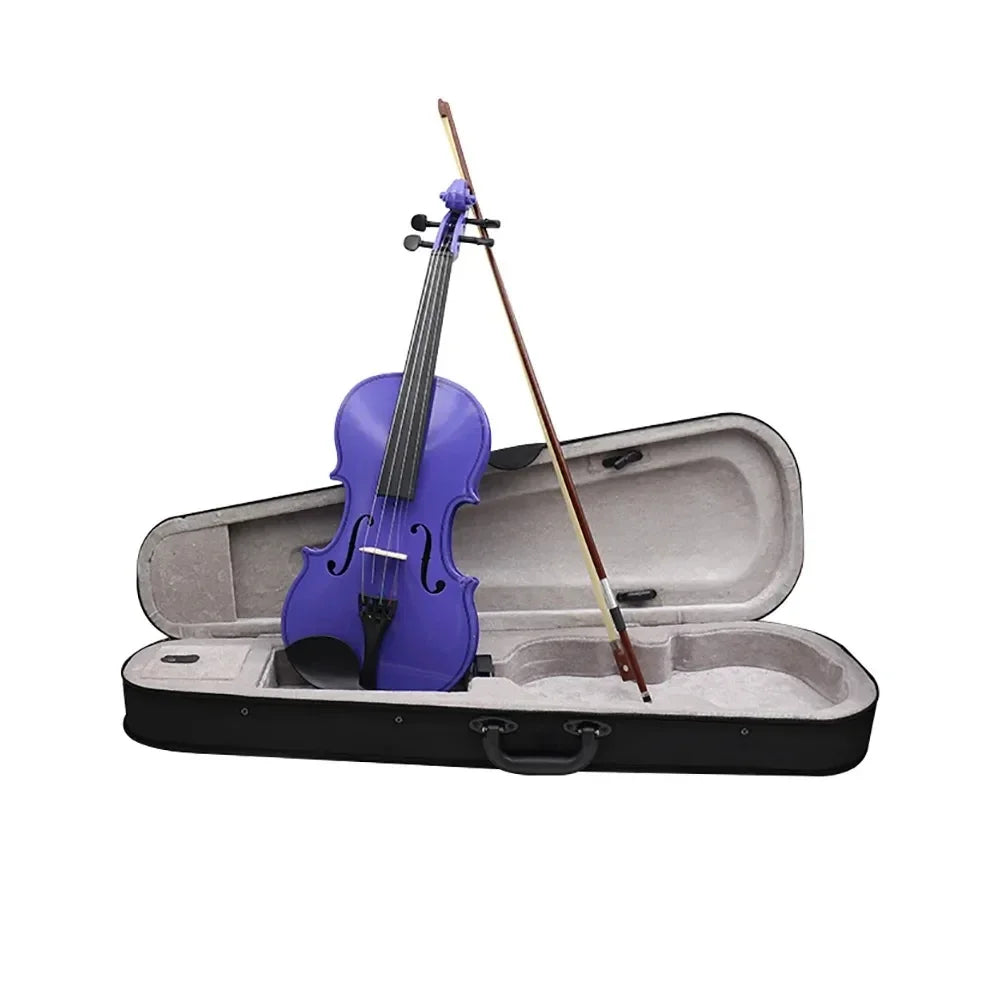 4/4 Solid Wood Black Violin - Acoustic Beginner Violin Set with Case, Bow, Rosin, Tuner & Accessories