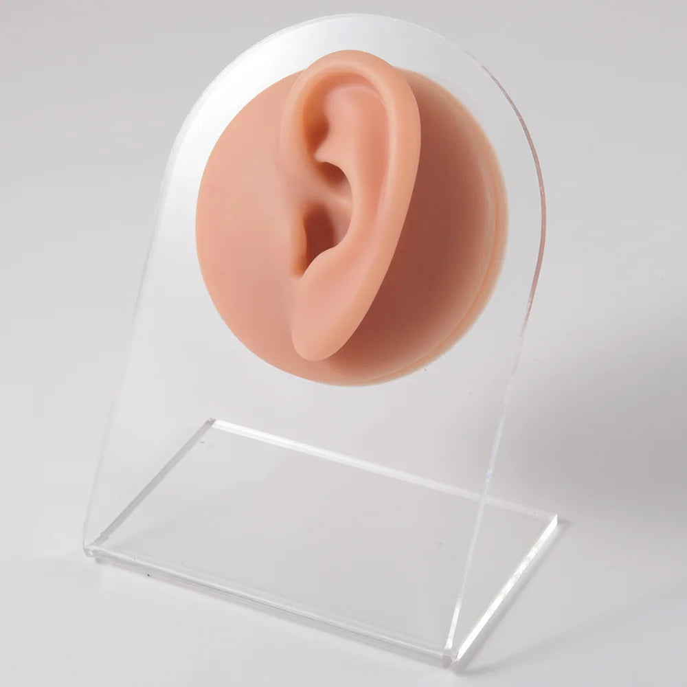 Soft Silicone 1:1 Simulation Body Piercing Practice Model – Ear, Nose, Navel & Nipple Display Stand for Jewelry Training & Teaching Accessories