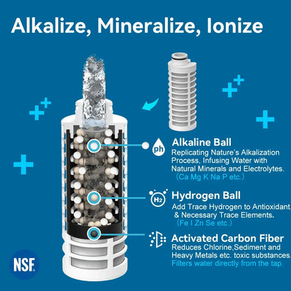 Alkaline Water Filter Bottle - BPA-Free Mineral & Electrolyte Filtration Bottle with pH 9.5 Alkalizing System