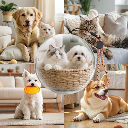 3D Crystal Ball Video Lamp – 2.7-Inch DIY Memory Art Glass Sphere Pixel Display with 4GB Video Player Gift