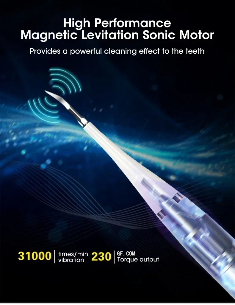 Electric Toothbrush with Sonic Cleaning – 3-in-1 Tartar Removal, Teeth Whitening, USB Charging, Replaceable Brush Head