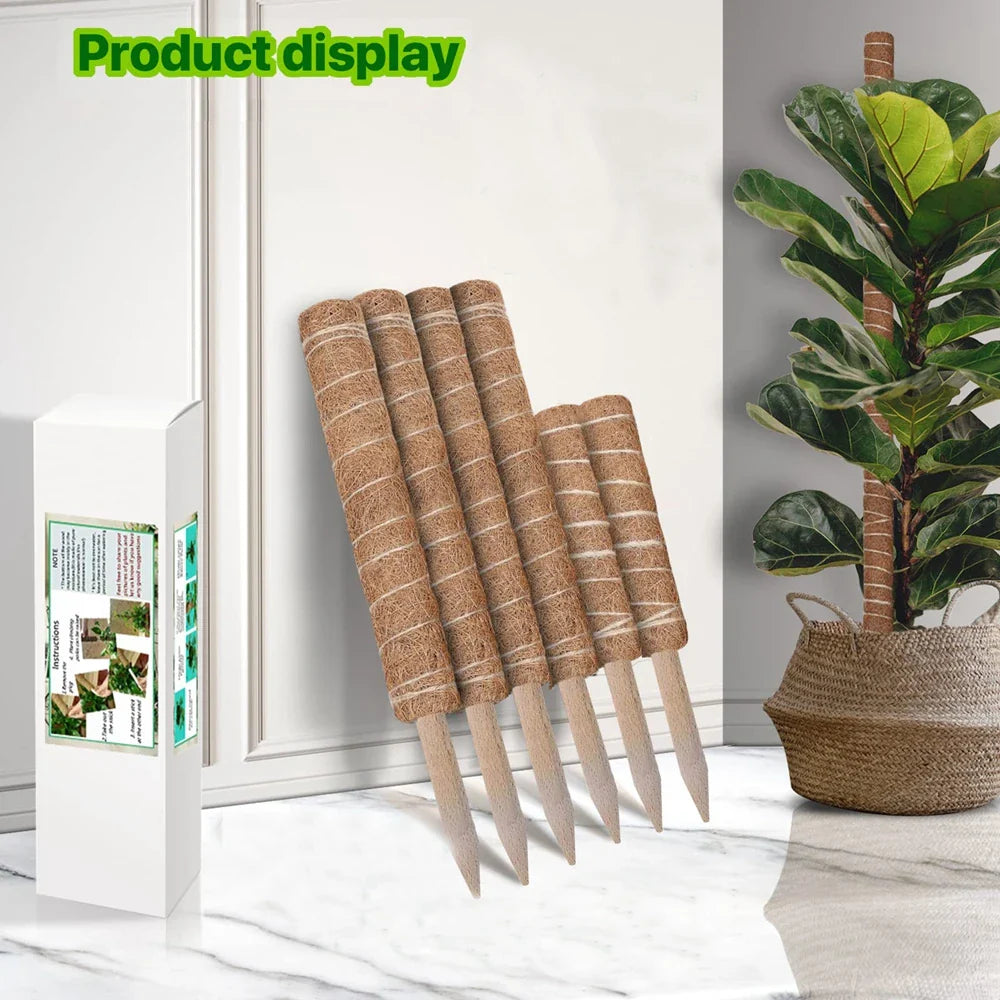 Indoor Climbing Plants Moss Pole - 30/40/50cm Plant Support with Garden Ties for Upward Growth - Ideal for Creepers