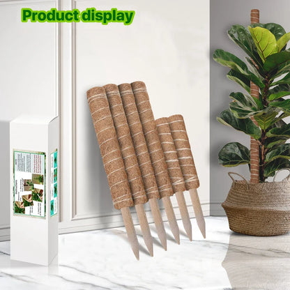 Indoor Climbing Plants Moss Pole - 30/40/50cm Plant Support with Garden Ties for Upward Growth - Ideal for Creepers