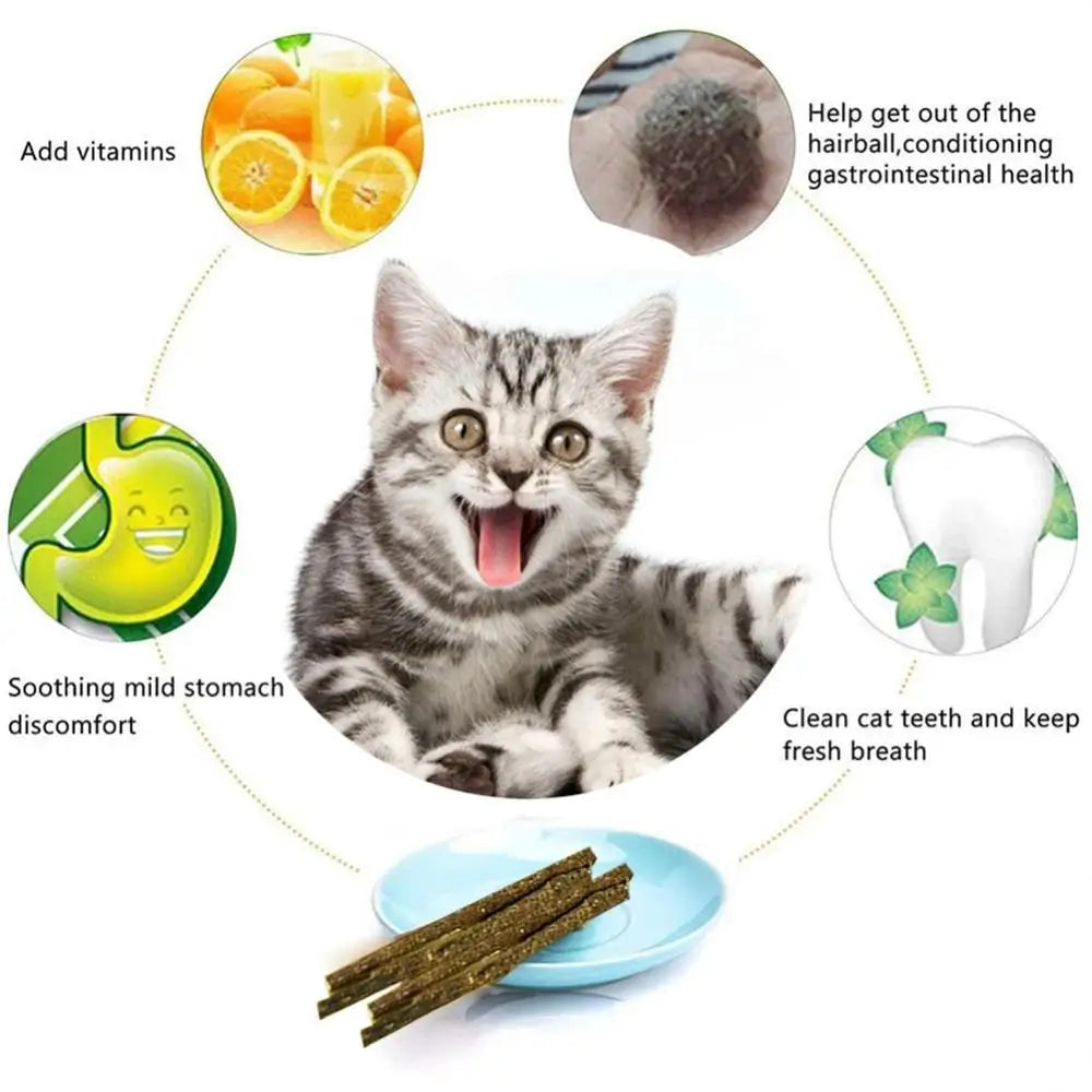 6-Pack Natural Silvervine Cat Chew Sticks - Exciting Matatabi Mint Flavor for Dental Health & Play, Pet Supplies