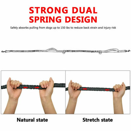 Reflective Pet Dog Running Belt: Elastic Hands-Free Jogging Leash with Metal D-Ring Harness - Traction Rope for Freely Jogging Pull