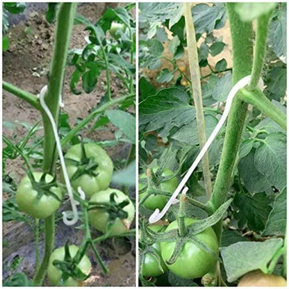 50pcs J-Shaped Fruit Cherry Tomato Ear Hook: Garden Plant Grape Support Vines Fastener Clips - Trellis Fixed Buckle Hook Included