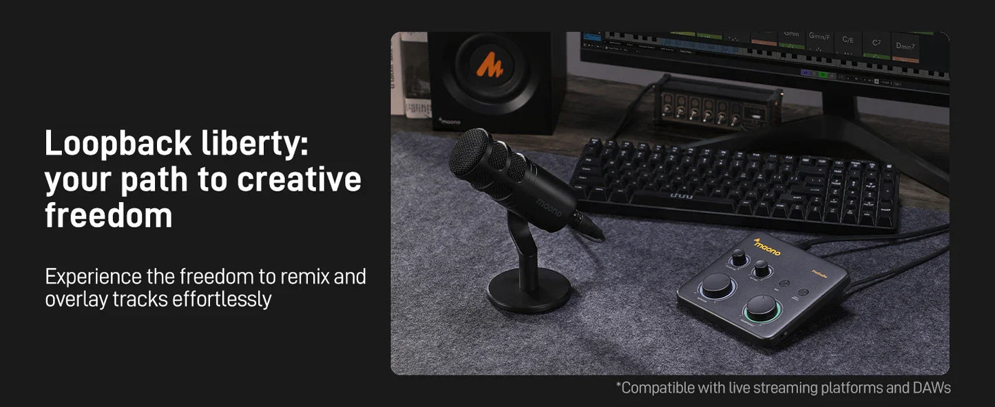 MAONO USB Audio Interface for PC – XLR Input, 24-bit/192kHz, LOOPBACK & ASIO Software for Music Recording, Guitar, DAW (PS22 Lite)