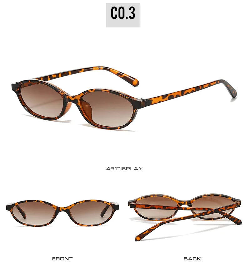 2024 Women’s Leopard Brown Sunglasses — Fashion Brand Small Frame Retro Oval Sun Glasses, Ladies Eyewear Shade