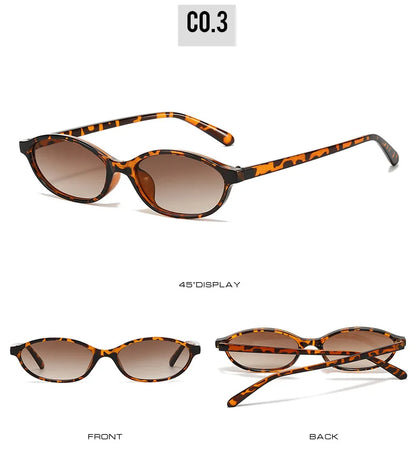2024 Women’s Leopard Brown Sunglasses — Fashion Brand Small Frame Retro Oval Sun Glasses, Ladies Eyewear Shade
