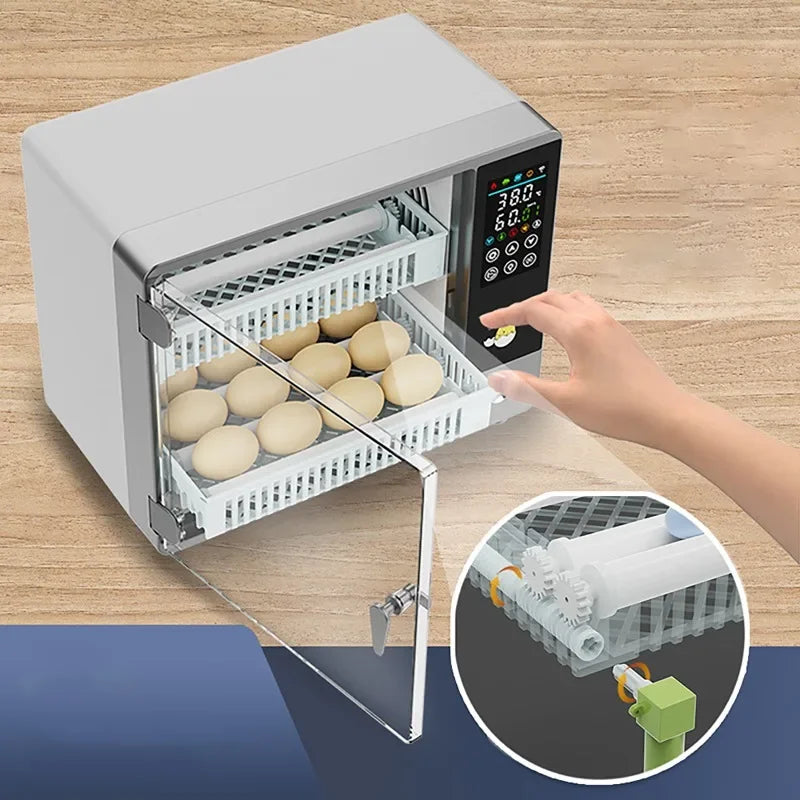24-Egg Automatic Incubator — Touch Control Hatchery Machine for Chicken, Duck, Quail & Bird Eggs