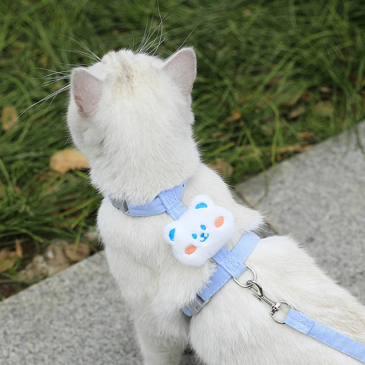 Adjustable Cat & Small Dog Harness with Leash – Breathable Pet Walking Strap Set