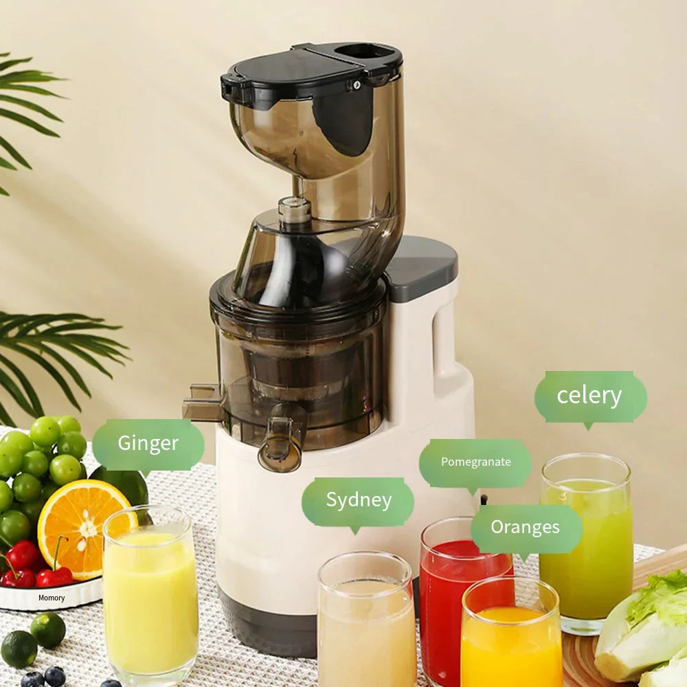 Houselin 7" Cold Press Juicer — Masticating Juicer Machine for Fruits & Vegetables