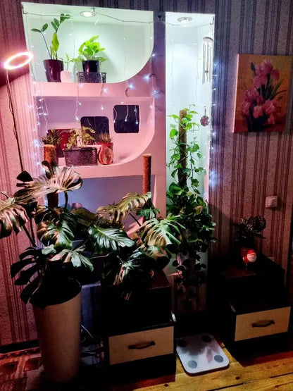 Height Adjustable LED Grow Light — Full Spectrum Plant Growing Lamp with 3 Timers for Indoor Large Plants