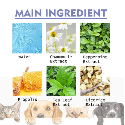 50ml Pet Oral Cleanse Spray - Freshen Dog and Cat Breath, Prevent Calculus, Remove Bad Breath, and Teeth Cleanser