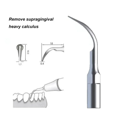 5PCS Dental Scaler Tips for EMS Woodpecker Ultrasonic Scaler Handpiece – Scaling Tips