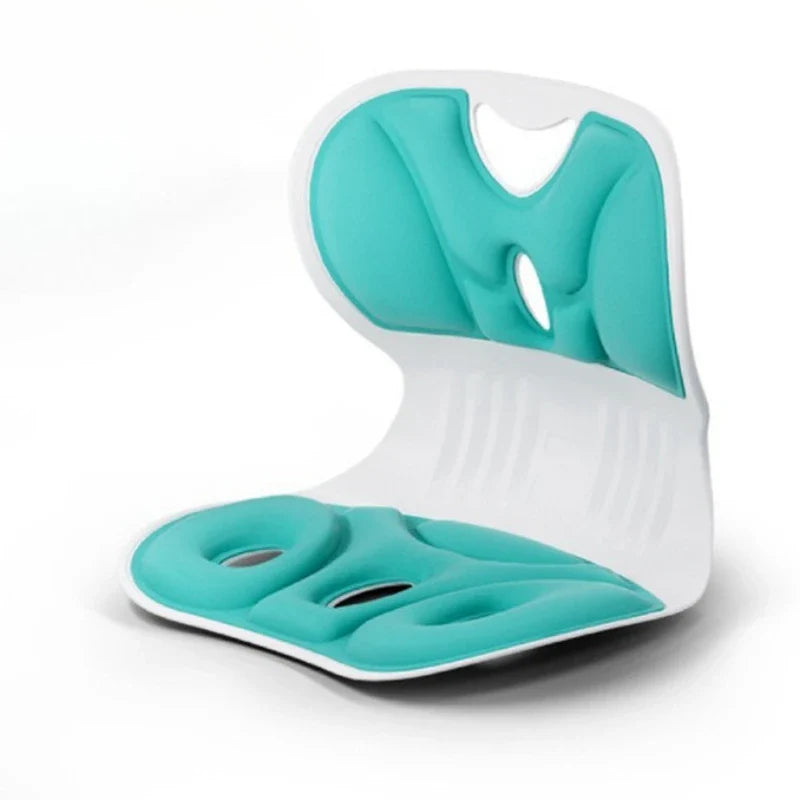 Ergonomic Lumbar Support Pillow — Anti-Fatigue Back Cushion for Study & TV, Breathable Washable Nylon Cover, Multi-Purpose