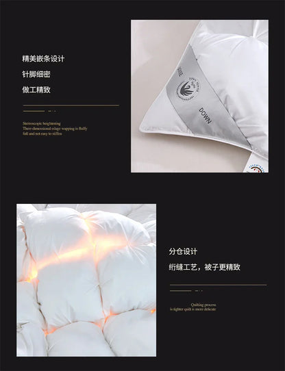 Premium White Goose Down Comforter – Winter Warm Feather Duvet, Lightweight & Cozy, Queen/King Size, Pinch Pleated 3D Design