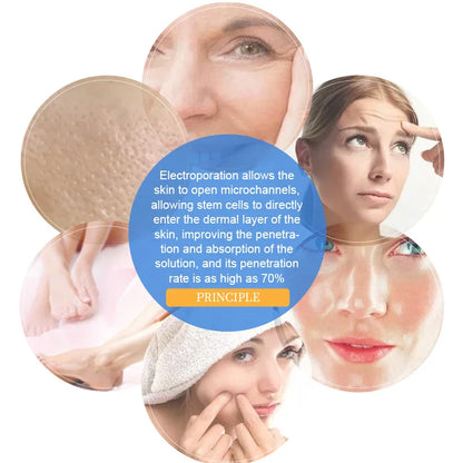 2025 NEW Dcool Portable Beauty Device – Hot & Cool EMS Electroporation Machine for Skin Tightening and Anti-Puffiness Facial Care