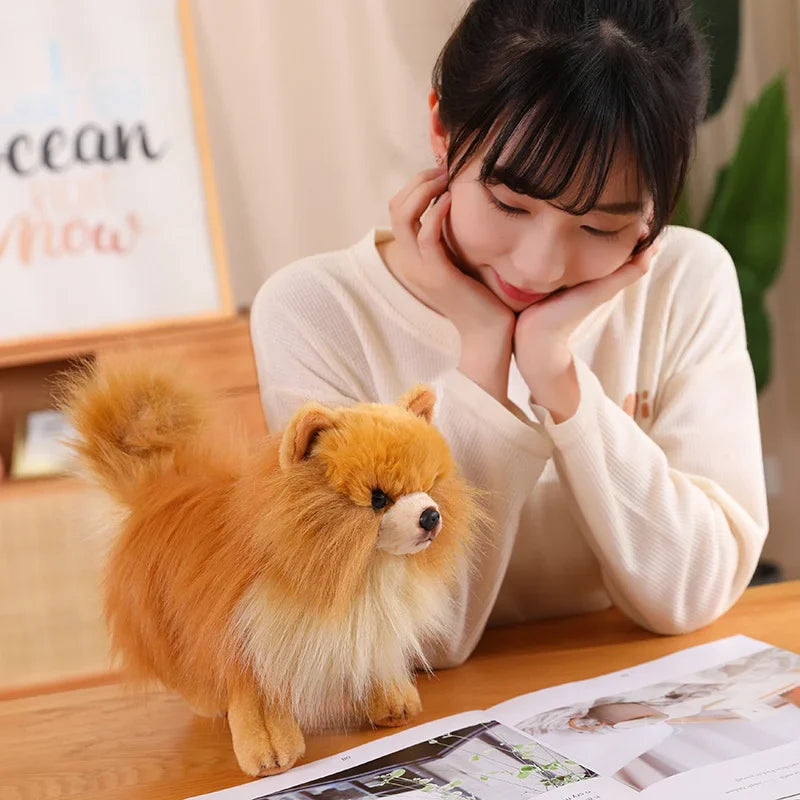 Realistic Pomeranian Plush Toy - Cute Soft Stuffed Puppy for Kids, Girls, Xmas Gifts & Home Decor