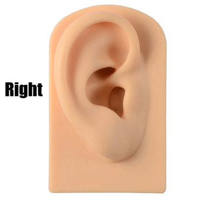 Soft Silicone Ear Nose Mouth Practice Model – Tattoo & Piercing Jewelry Display Stand with Acrylic Earring Holder Kit for Training & Showcase