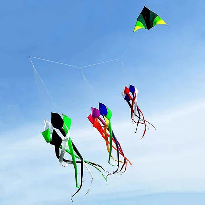 Large Decorative Show Kite - Professional Outdoor Wind Kite with Butterfly Snake Koi Design