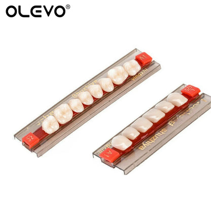 84PCS Dental Acrylic Resin Denture Teeth Set – Full Mouth Upper & Lower False Teeth Model (A1/A2/A3, S/M/L Sizes)
