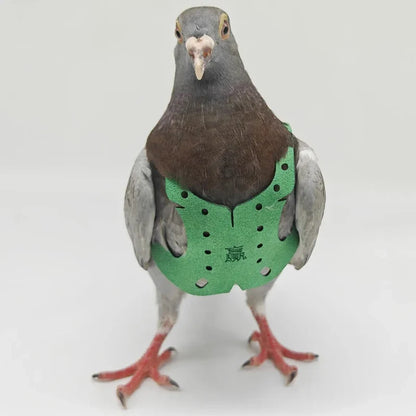 Parrot Bird Harness & Leash - Anti-Bite Flying Training Rope for Outdoor Use