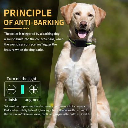 Dog Training Anti-Barking Collar - USB Rechargeable, Automatic Shock & Beep Trainer for Dogs