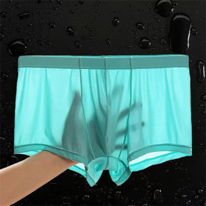 Ultra Thin Ice Silk Boxers - Semi-Transparent Seamless Men’s Trunk Underwear Plus Size