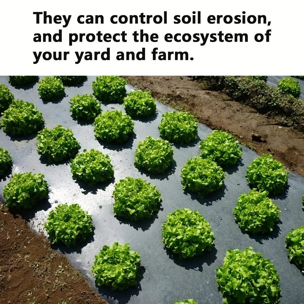 Black Plastic Mulch Film — High-Quality Vegetable Growing Film for Greenhouses & Plant Protection