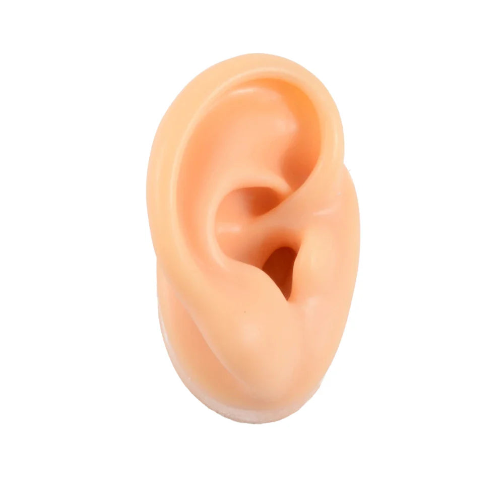 Soft Silicone Ear Model Display Stand – Tattoo Practice & Body Piercing Jewelry Holder with Acrylic Earring Display Kit for Training & Showcase