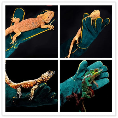 Ultra-Long Leather Anti-Bite Safety Gloves for Pet Handling - Green Protective Gloves for Dog, Cat, Reptile, and Animal Handling