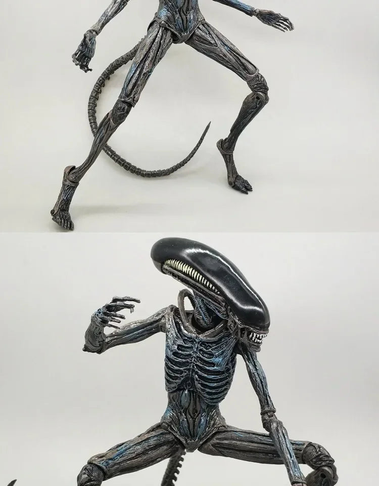 NECA Xenomorph Alien vs. Predator Action Figure — Fully Articulated Collectible with Movable Joints, Cool Toy & Gift