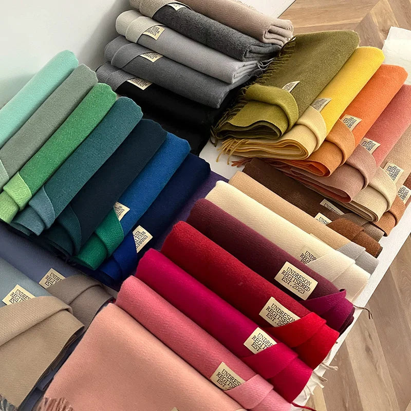 Cashmere Warm Scarf: Double-Sided Winter Pashmina Wrap with Tassel - Fashionable Design, Various Colors