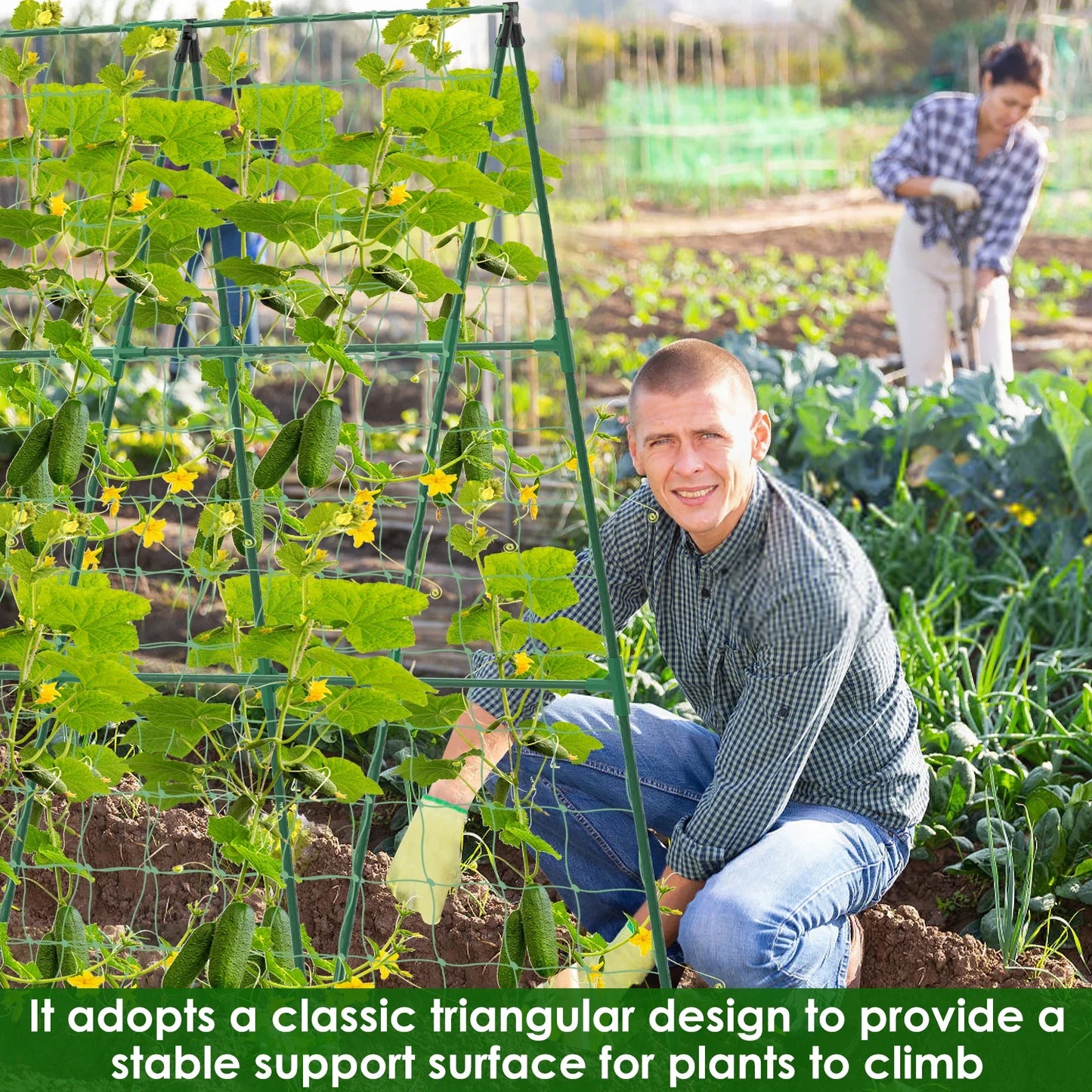 A-Frame Garden Trellis for Cucumbers & Tomatoes – Detachable Climbing Plant Support Frame