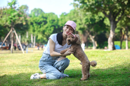 Adjustable Pet Dog Baseball Cap – Cute Travel Sun Visor Hat with Ear Holes | Outdoor Breathable Sport Pet Cap for Dogs