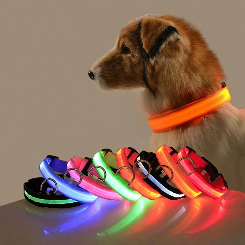 Nylon LED Night Safety Dog Leash: Flashing Glow-in-the-Dark Luminous Fluorescent Pet Collar
