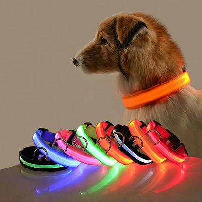Nylon LED Night Safety Dog Leash: Flashing Glow-in-the-Dark Luminous Fluorescent Pet Collar