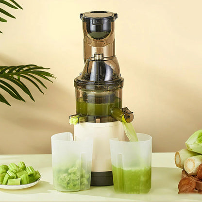 Houselin 7" Cold Press Juicer — Masticating Juicer Machine for Fruits & Vegetables