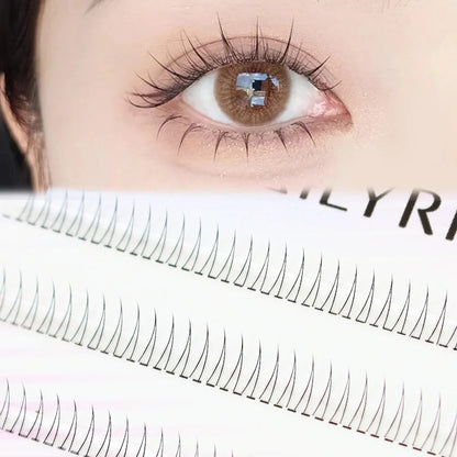 Korean J-Curl V-Shape Black Manga Under Eyelashes — Soft Natural Bottom Lash Clusters (Bunches)