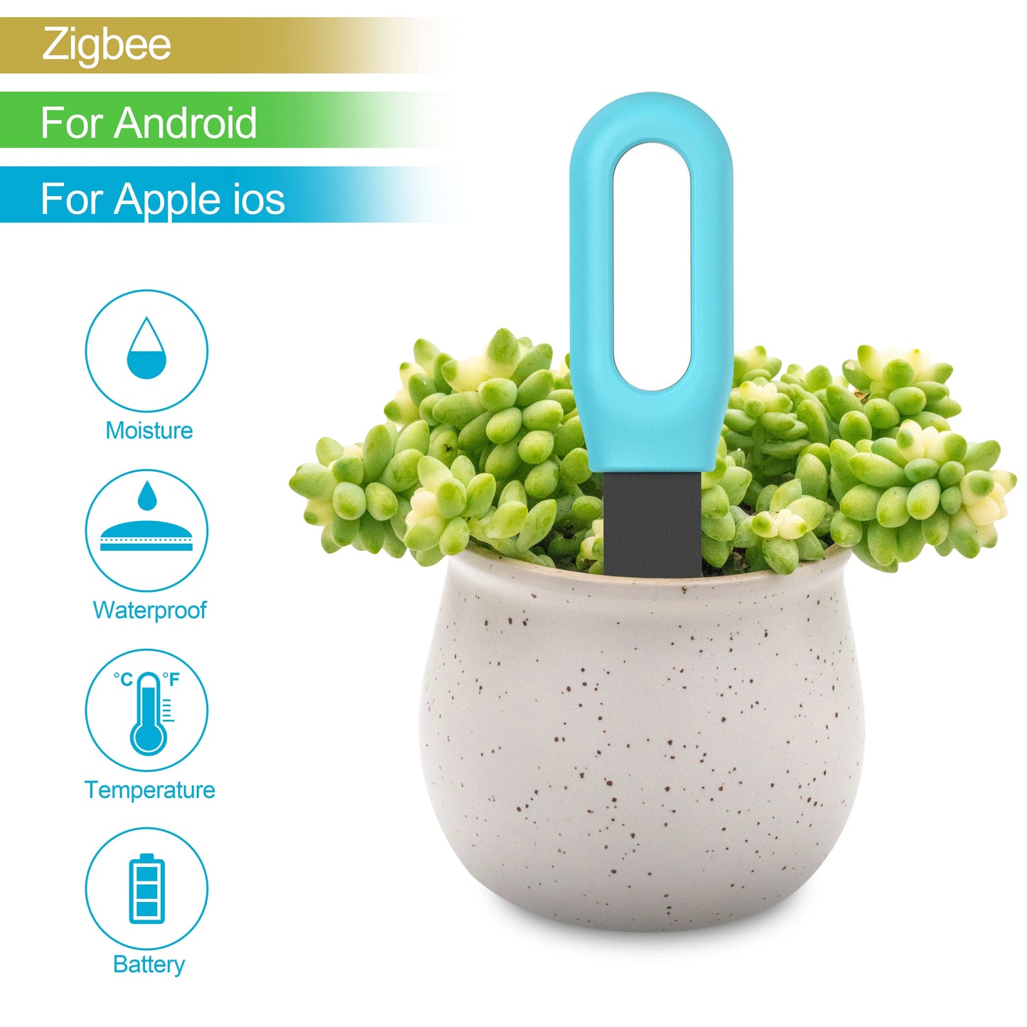 Tuya Smart Zigbee Soil Tester – Temperature & Humidity Meter, Garden Automation Irrigation Sensor