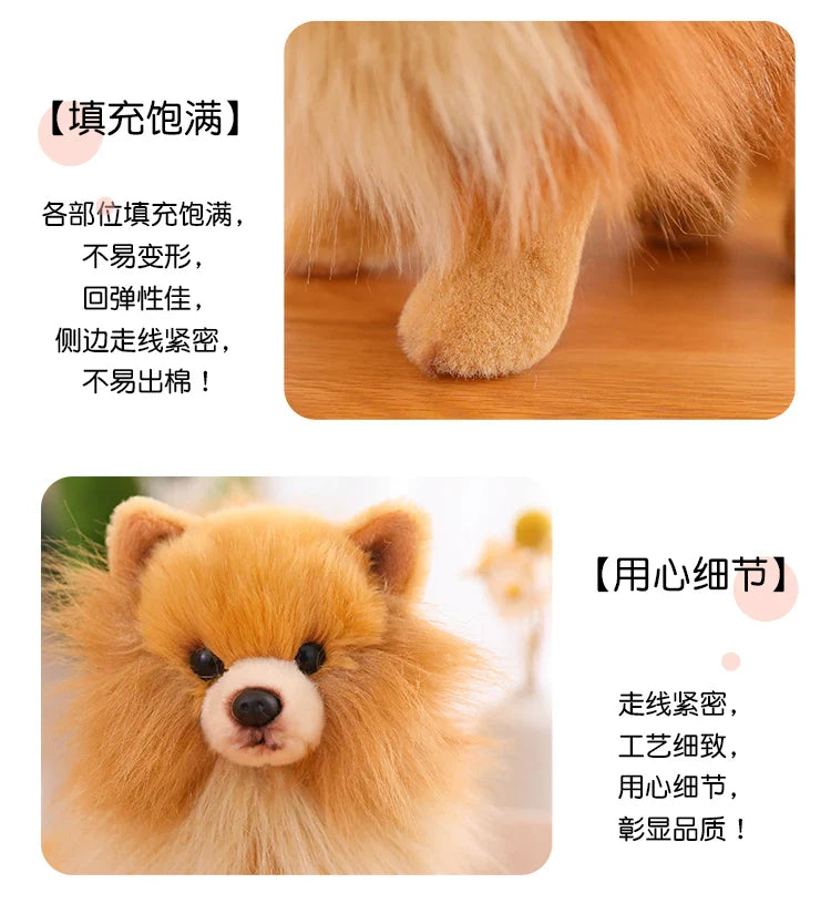 Realistic Pomeranian Plush Toy - Cute Soft Stuffed Puppy for Kids, Girls, Xmas Gifts & Home Decor